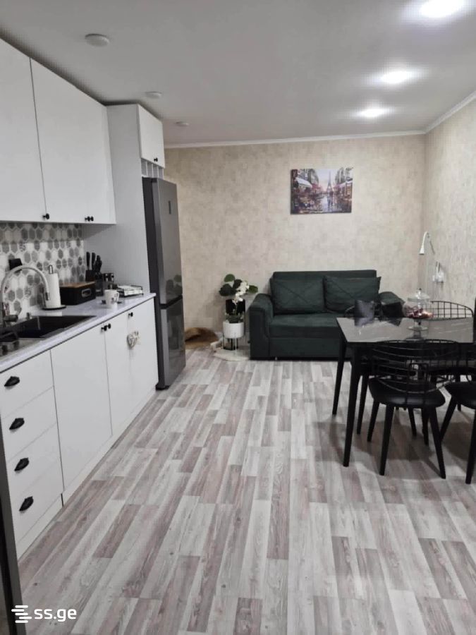 2 Room Flat For Rent. Kutaisi view 1