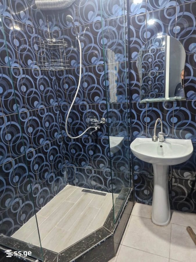 2 Room Flat For Rent. Rustavi view 3