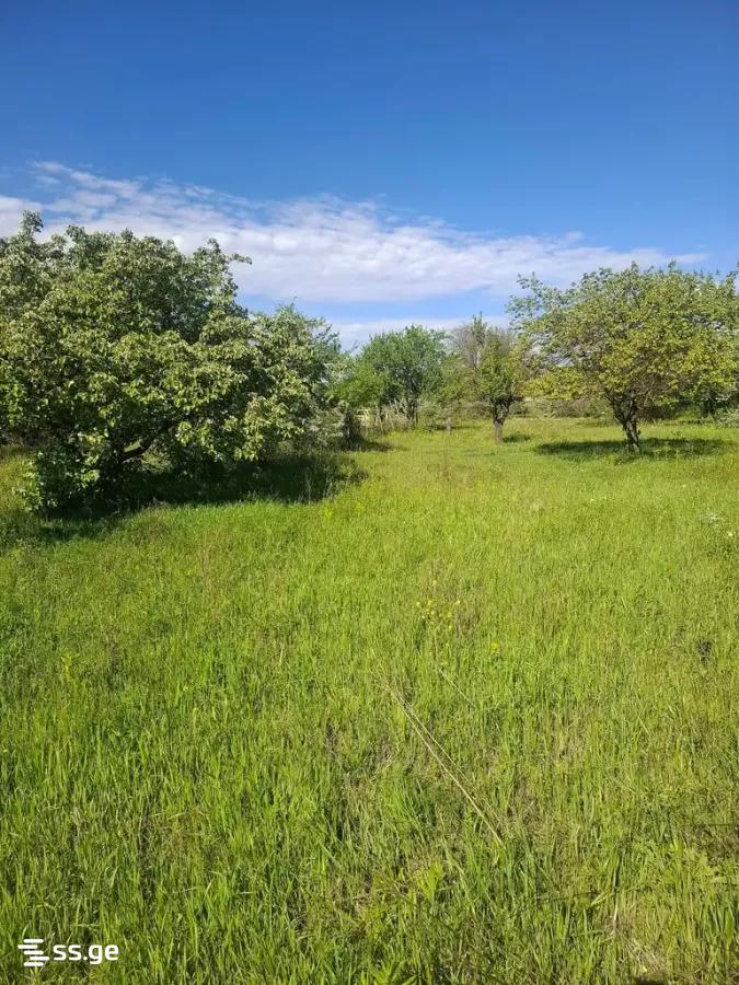 Land For Sale. Gori, 3 of 4