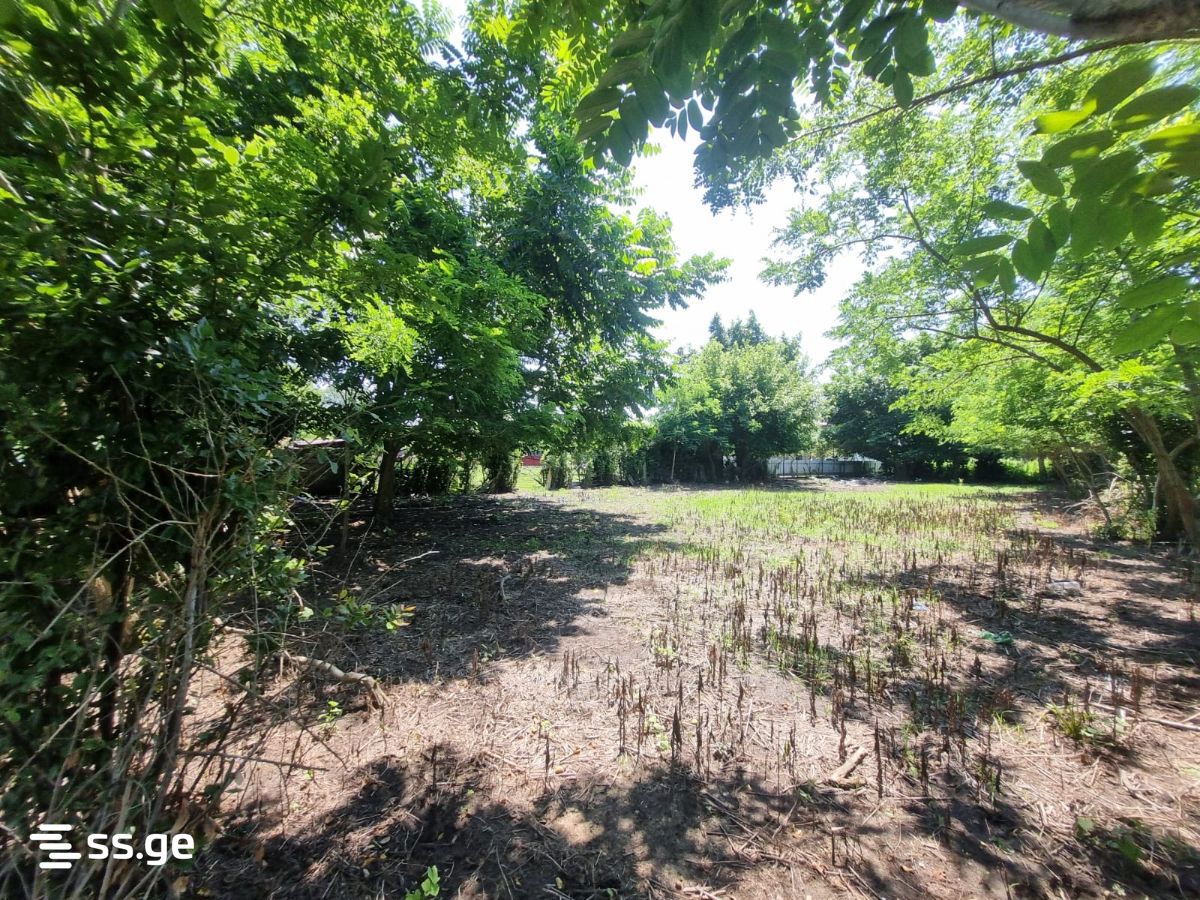 Land For Sale. Poti view 3