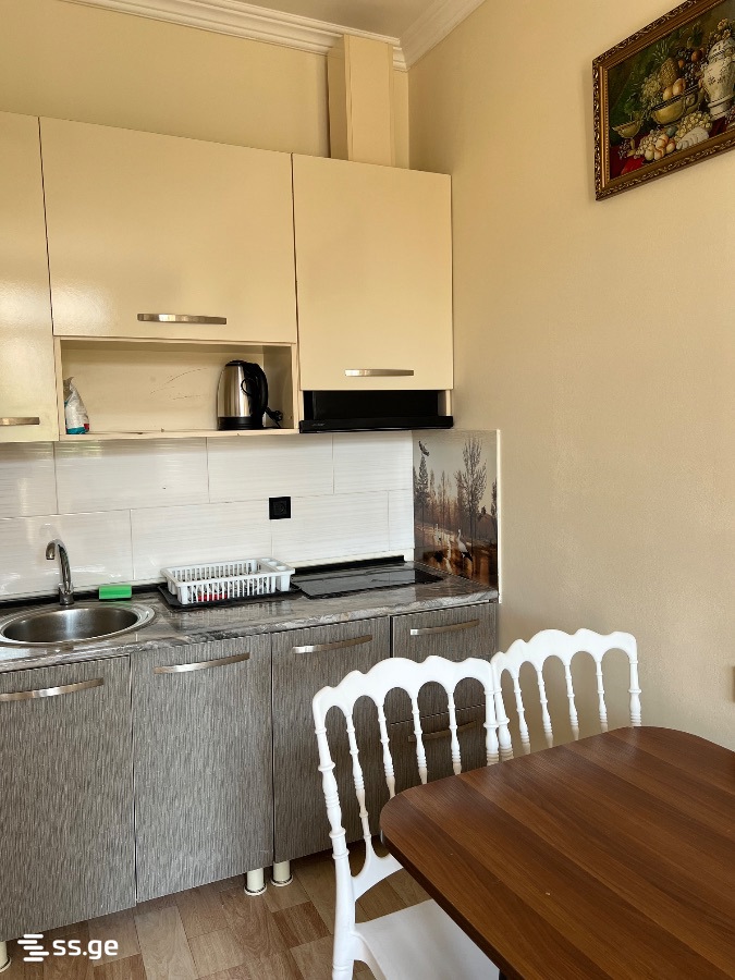 2 Room Flat Daily Rent. Batumi view 7