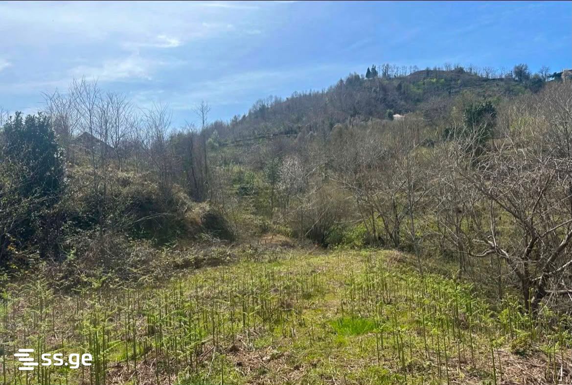 Land For Sale. Gonio view 9