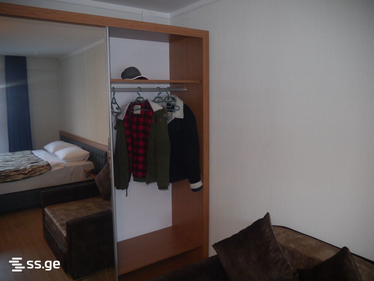 1 Room Flat For Rent. Bakuriani view 13