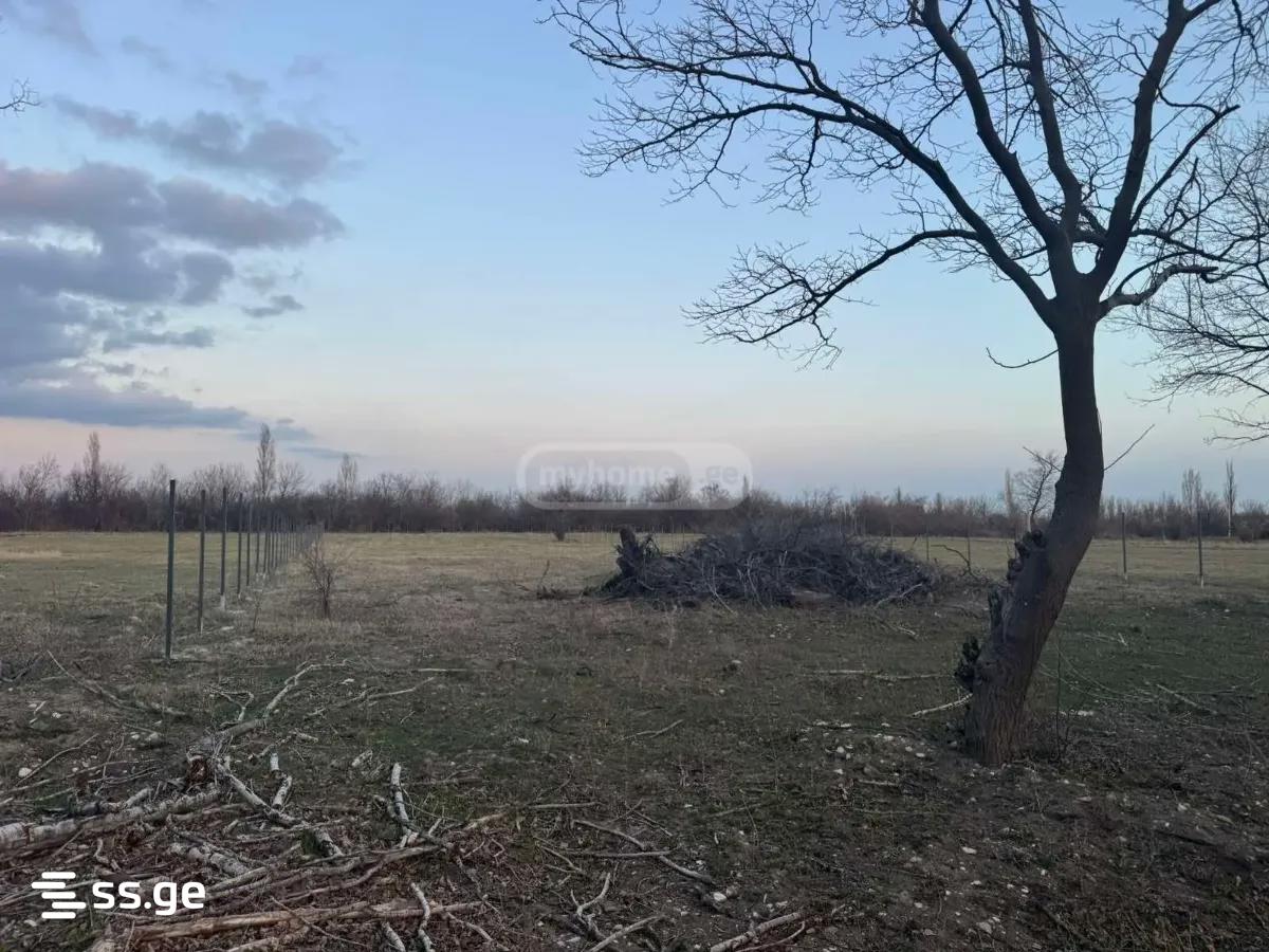 Land For Sale. Gardabani, 1 of 4