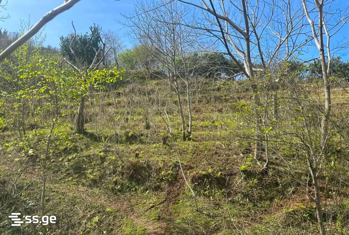 Land For Sale. Gonio view 7
