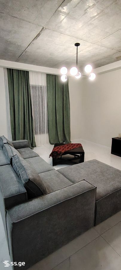 6 Room Private House For Rent. Tianeti view 4