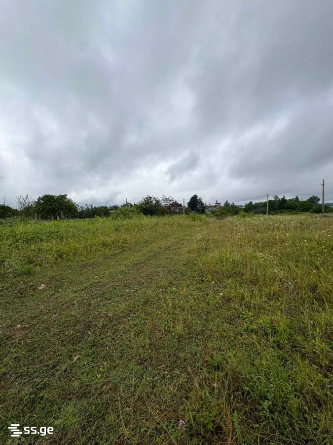 Land For Sale. Telavi, 3 of 4