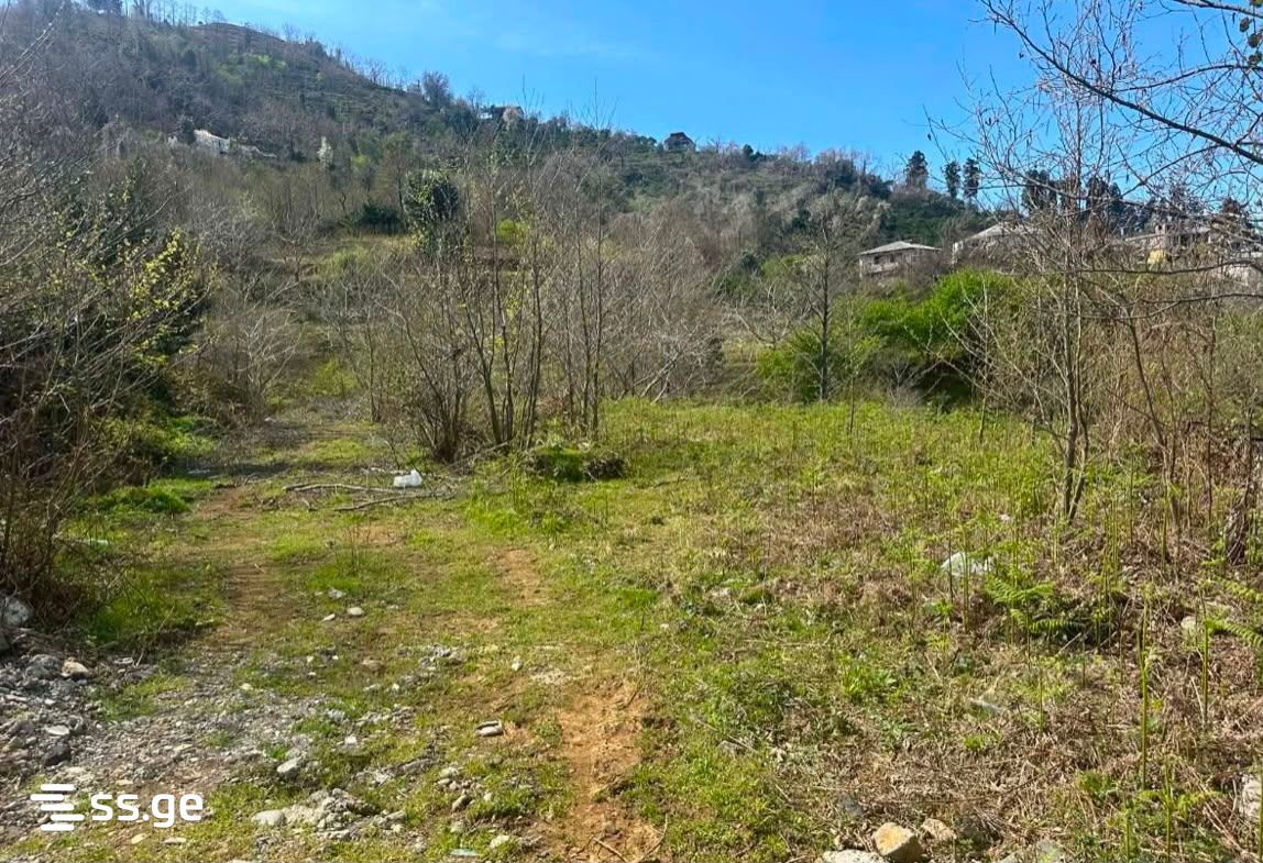 Land For Sale. Gonio view 5