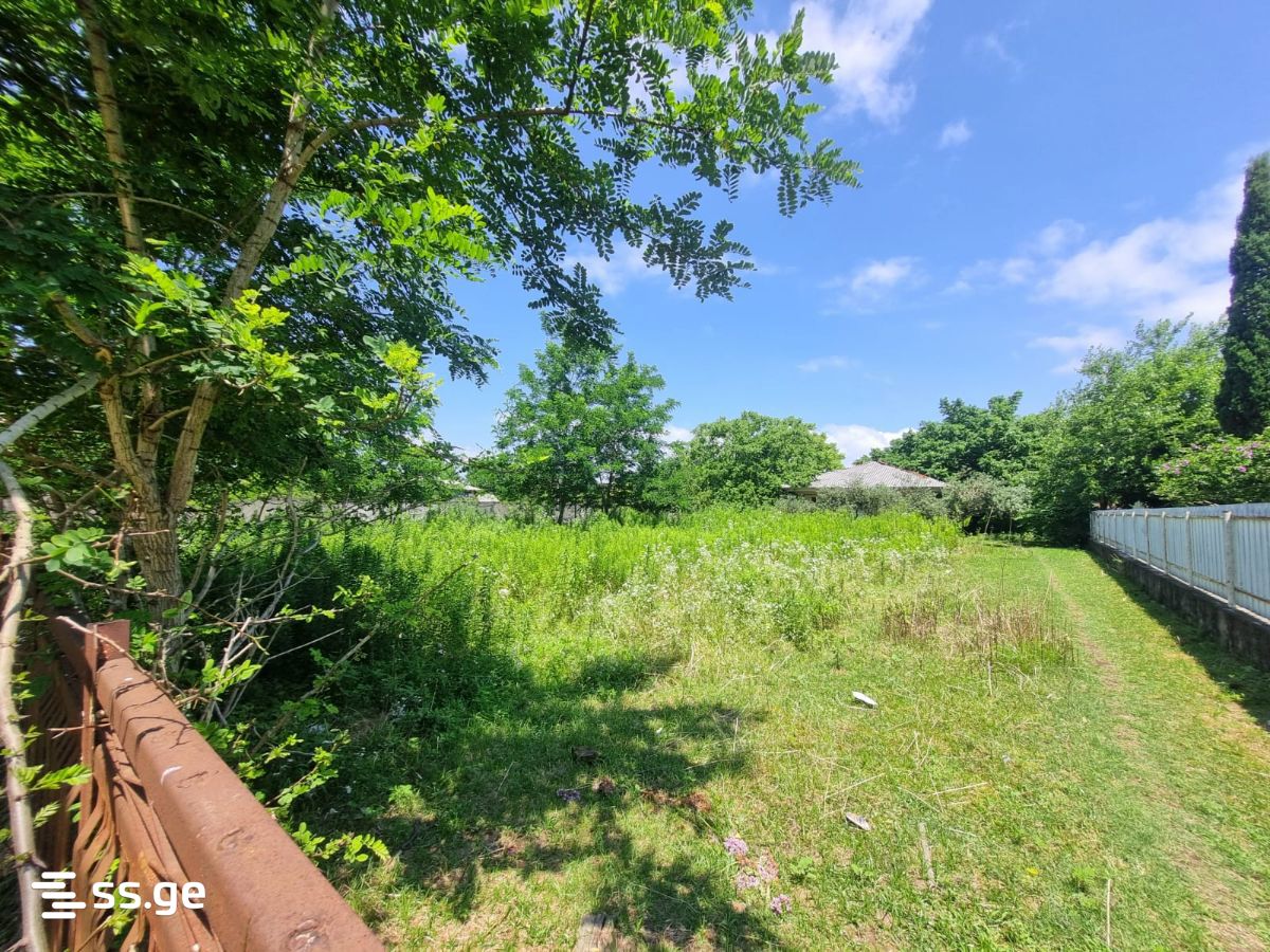 Land For Sale. Poti view 4