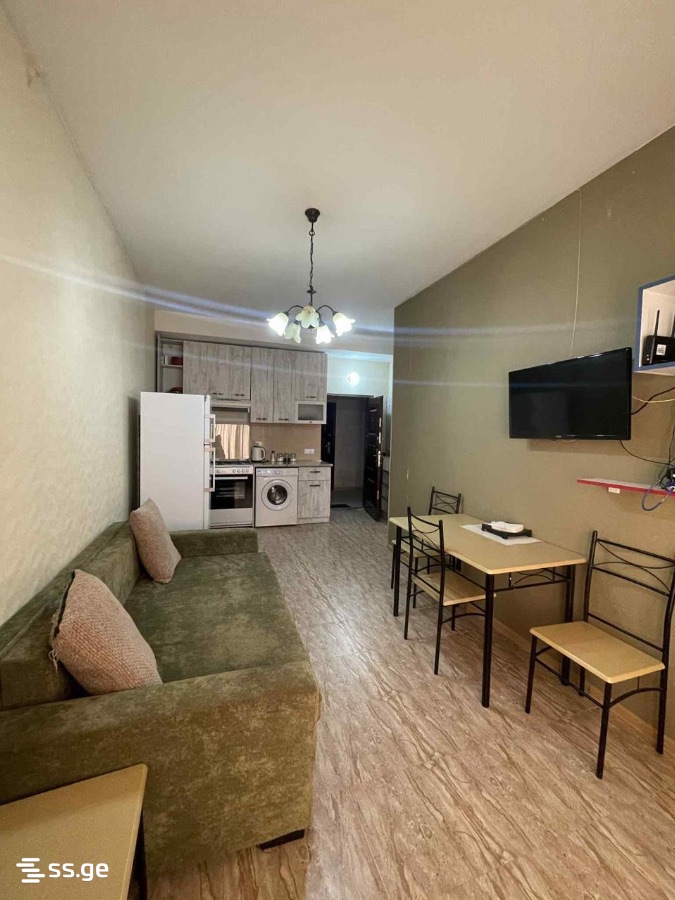 2 Room Flat Daily Rent. Borjomi view 12