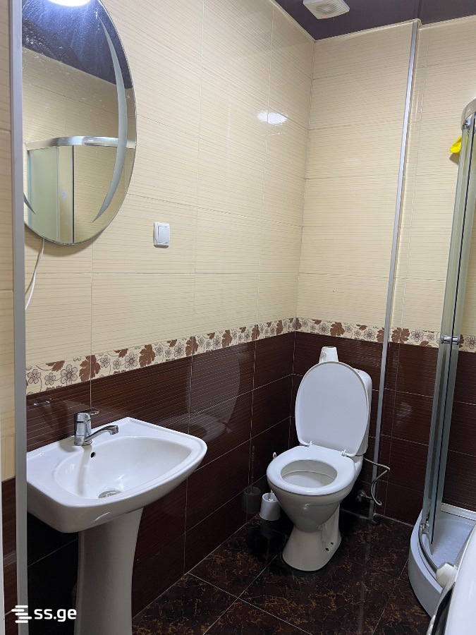 2 Room Flat Daily Rent. Batumi view 5