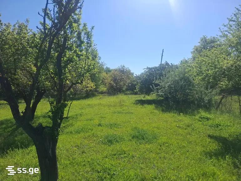 Land For Sale. Gori view 6