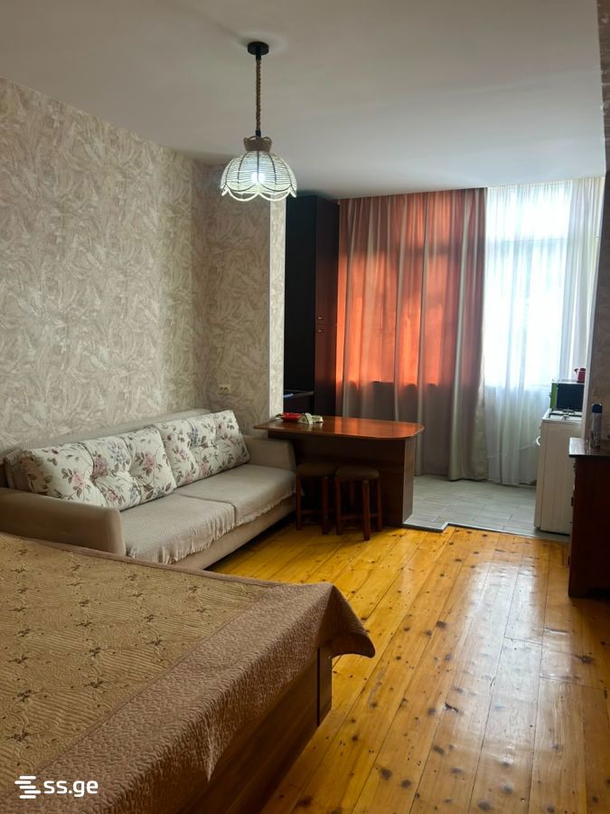 1 Room Flat Daily Rent. Borjomi view 2