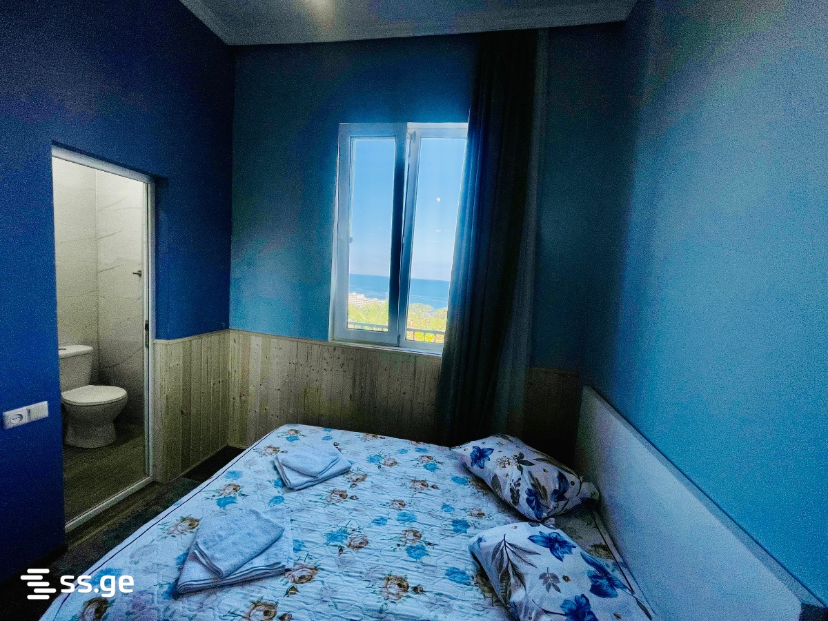 4 Room Private House Daily Rent. Tsikhisdziri view 6