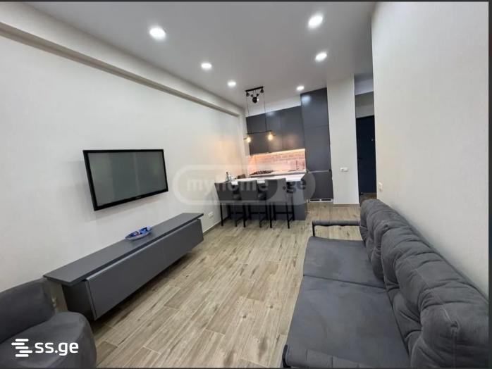 2 Room Flat For Rent. Didube, 1 of 4