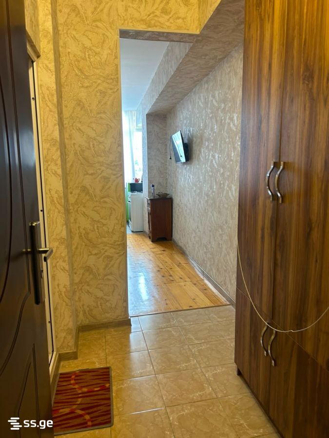 1 Room Flat Daily Rent. Borjomi view 7