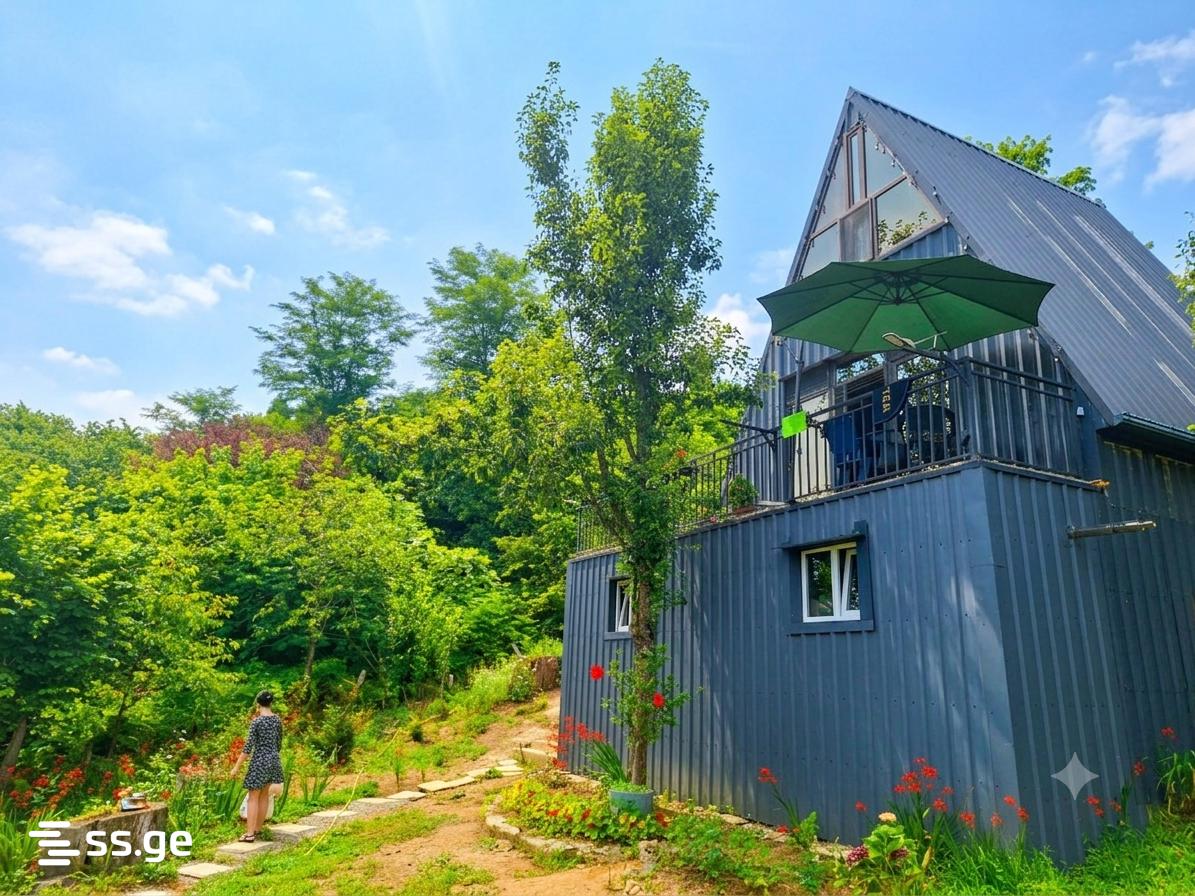 2 Room Private House Daily Rent. Batumi view 1