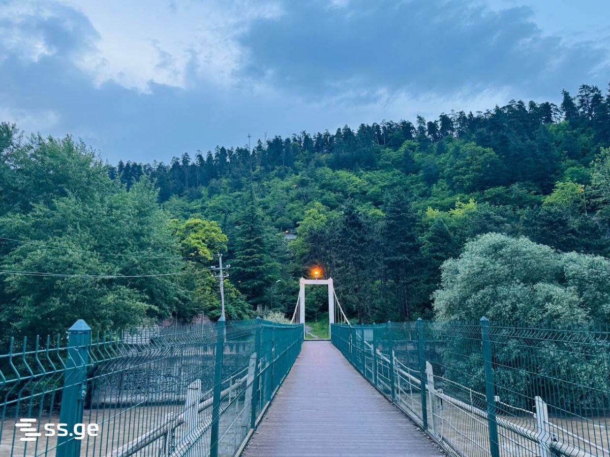 1 Room Flat Daily Rent. Borjomi view 9