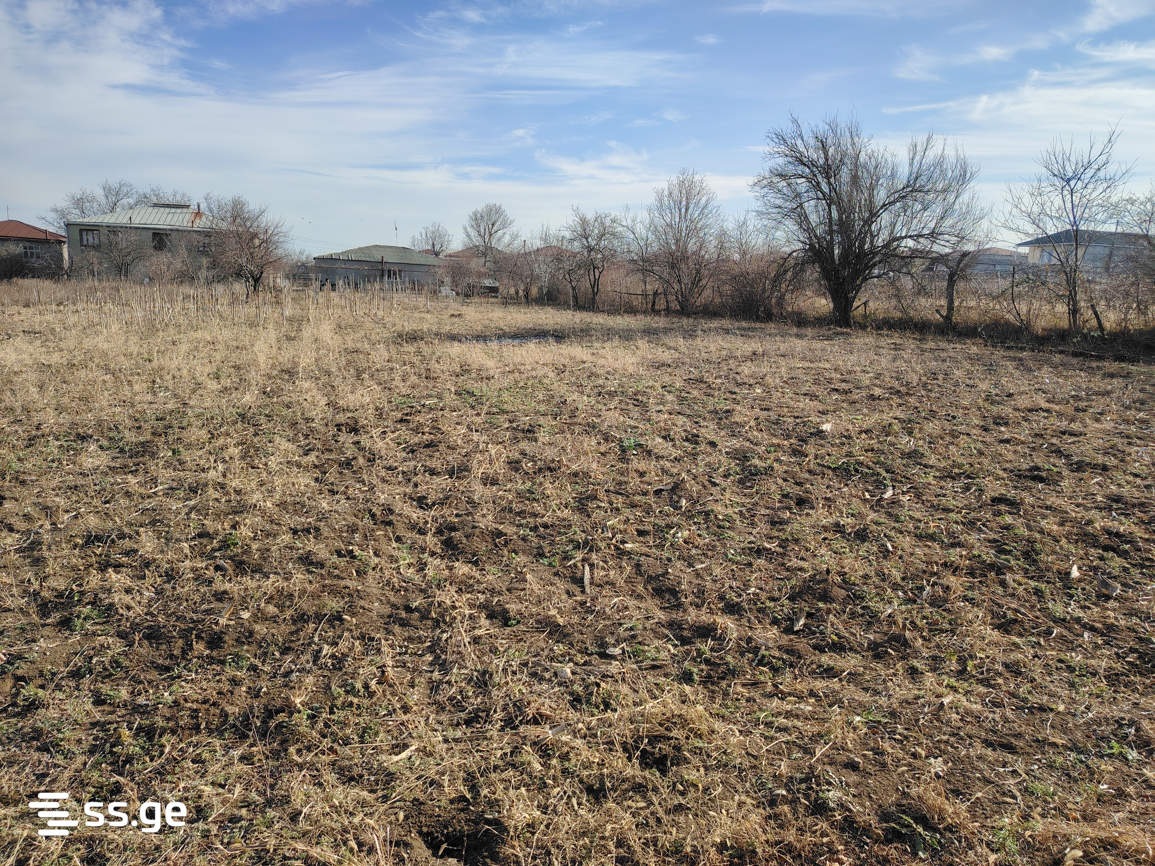 Land For Sale. Telavi, 3 of 3