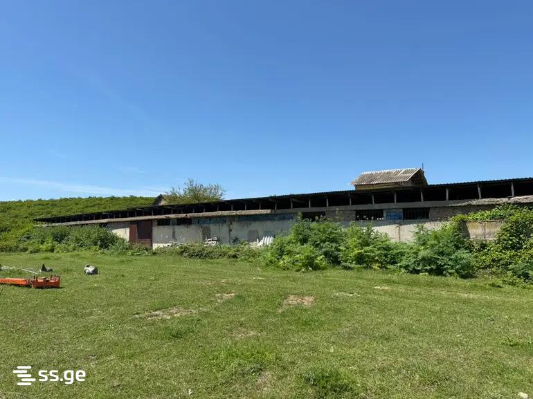 Land For Sale. Saburtalo view 2