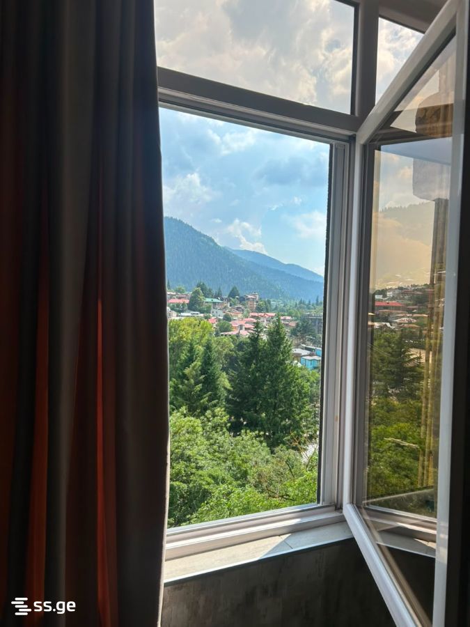 1 Room Flat Daily Rent. Borjomi view 6