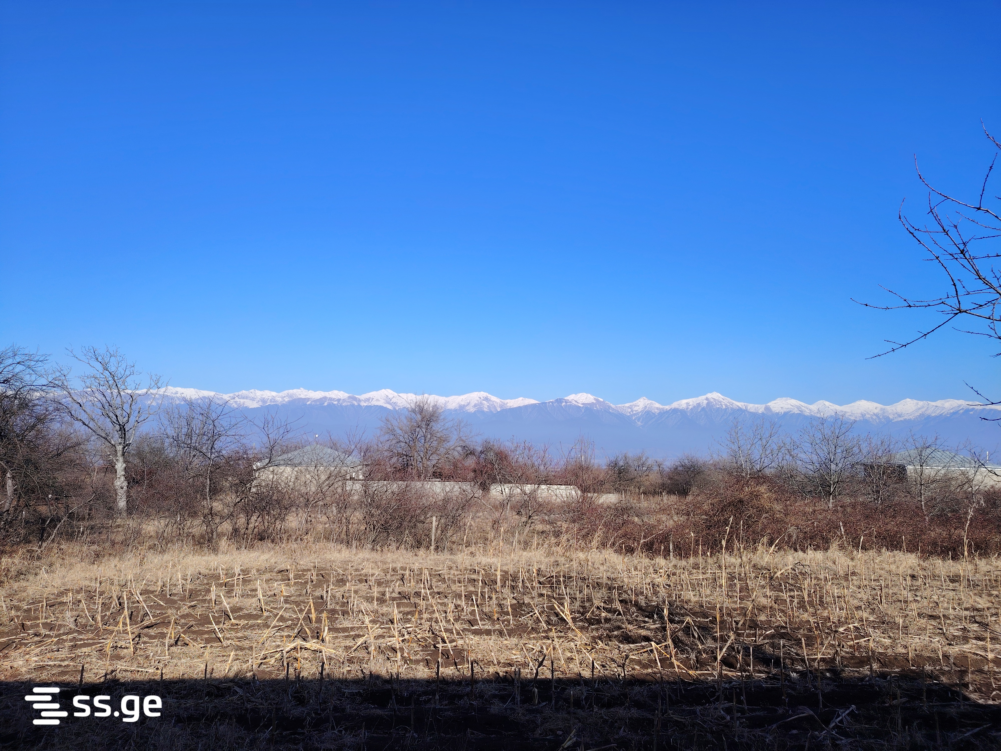 Land For Sale. Telavi, 1 of 3