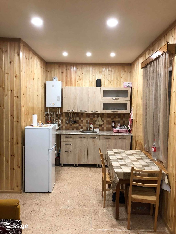 2 Room Flat Daily Rent. Borjomi view 1