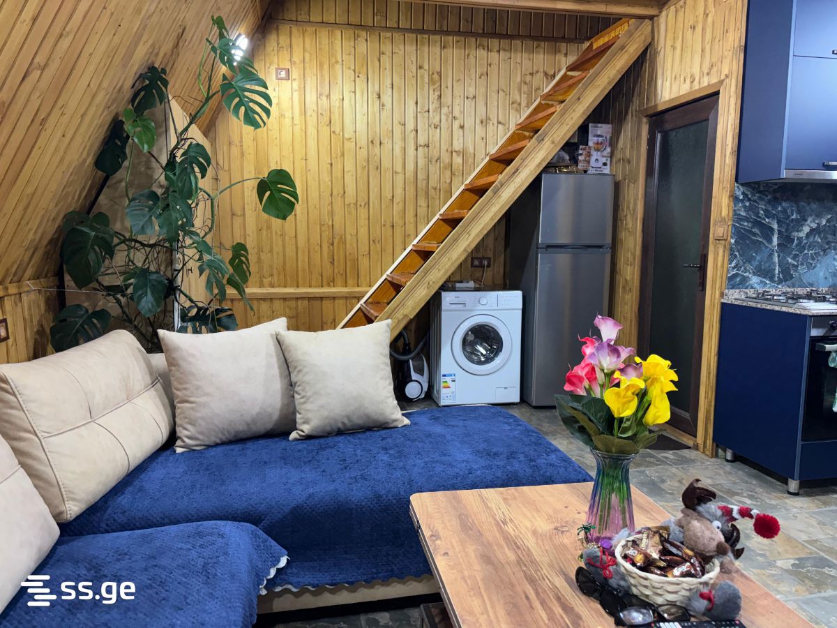 2 Room Private House Daily Rent. Batumi view 3