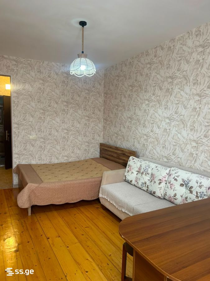 1 Room Flat Daily Rent. Borjomi view 4