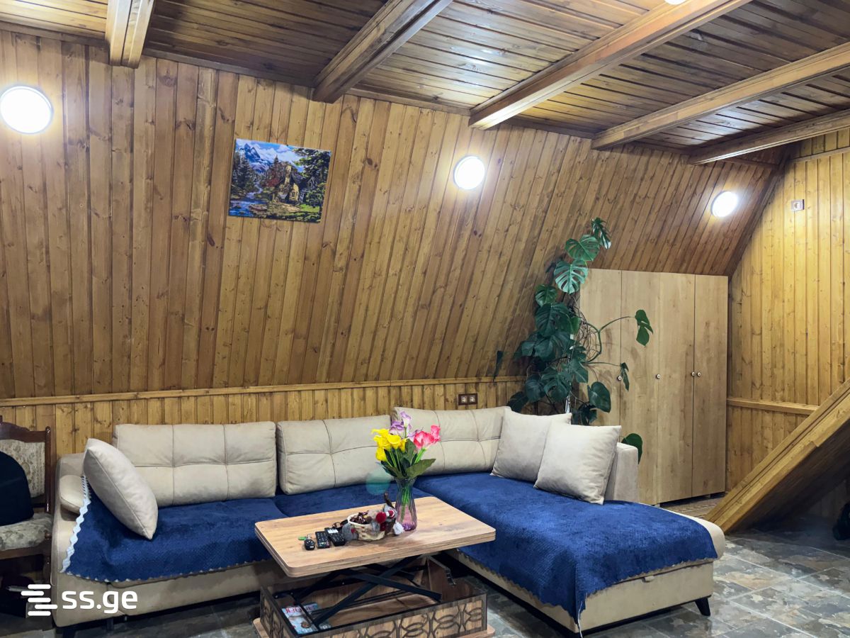 2 Room Private House Daily Rent. Batumi view 6