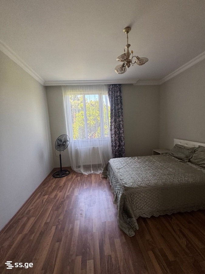 3 Room Private House Daily Rent. Batumi view 9