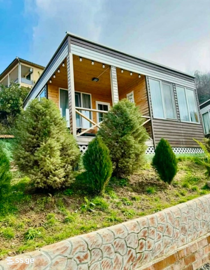 2 Room Private House For Rent. Batumi view 5