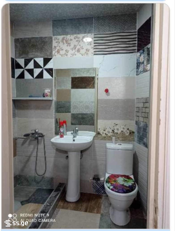 3 Room Flat Daily Rent. Rustavi view 6