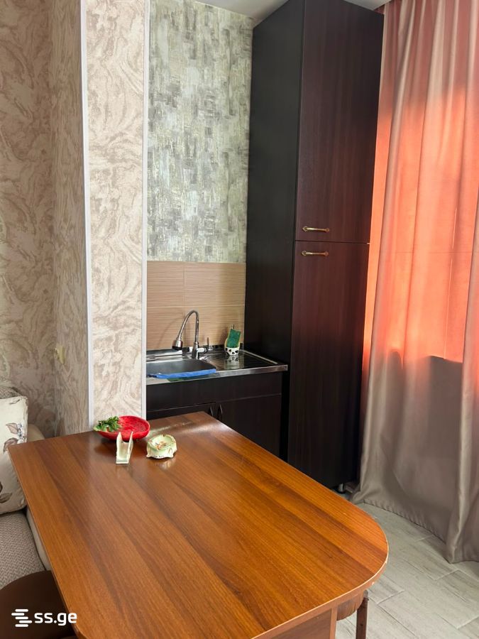 1 Room Flat Daily Rent. Borjomi view 3