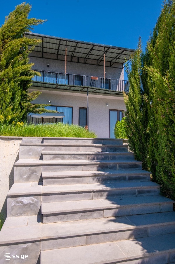 7 Room Private House For Rent. Napetvrebi view 15