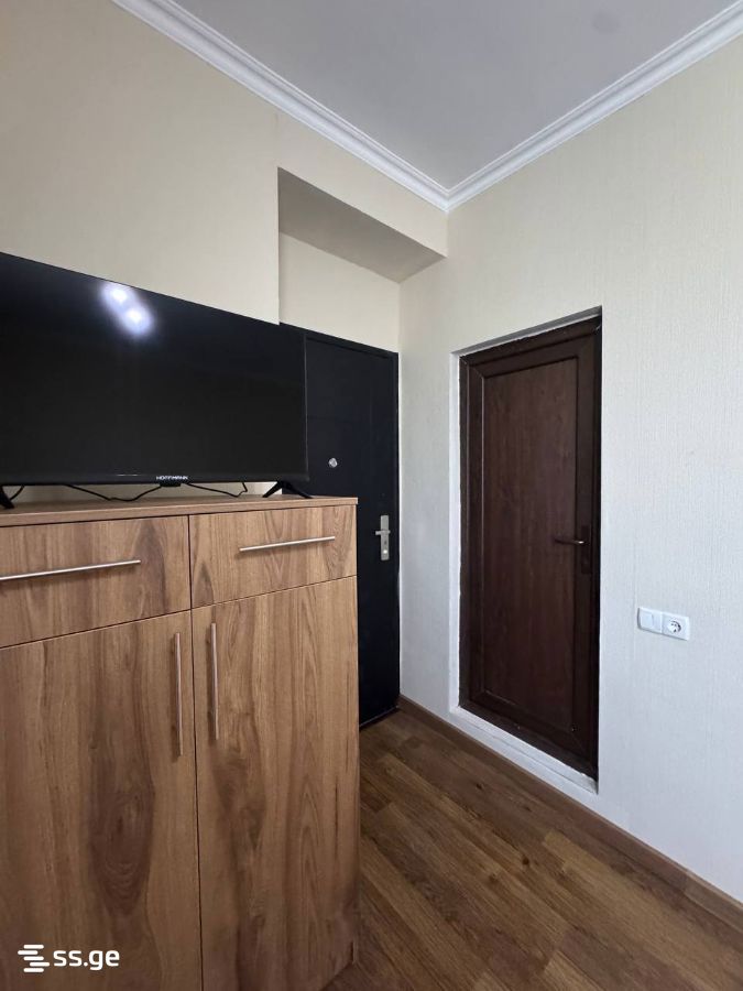 1 Room Flat Daily Rent. Borjomi view 7