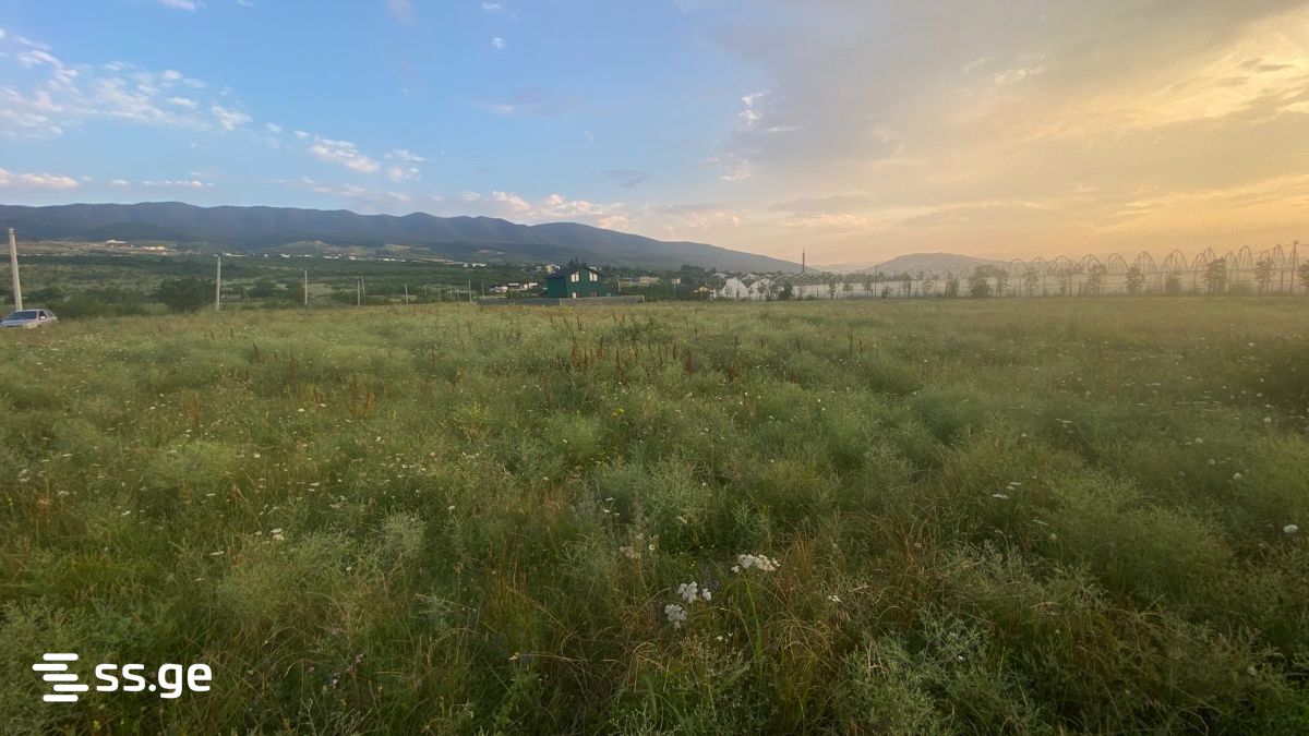 იყიდება მიწა საგურამოში view 2