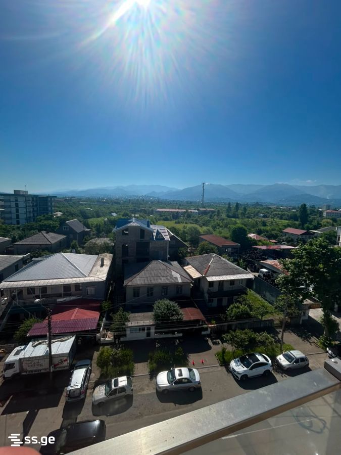 3 Room Flat Daily Rent. Kobuleti view 10