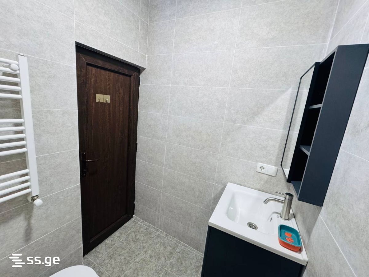 1 Room Flat Daily Rent. Borjomi view 3