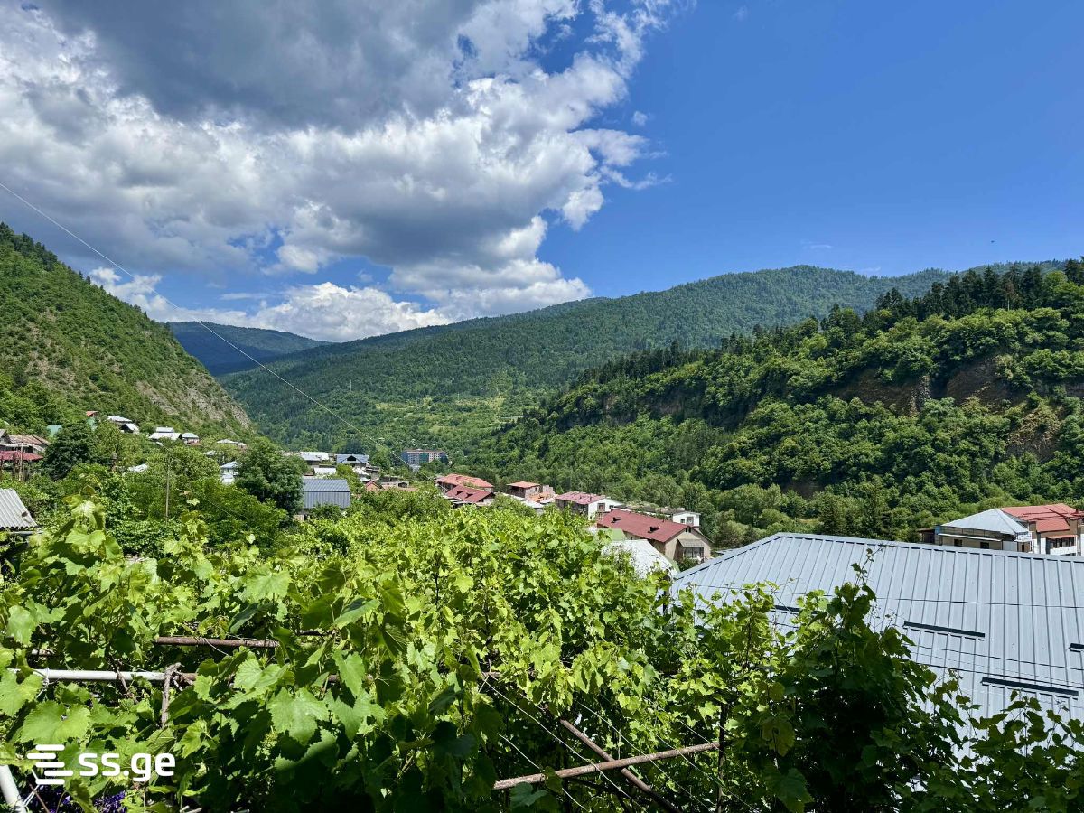 იყიდება Private House ბორჯომიში view 6