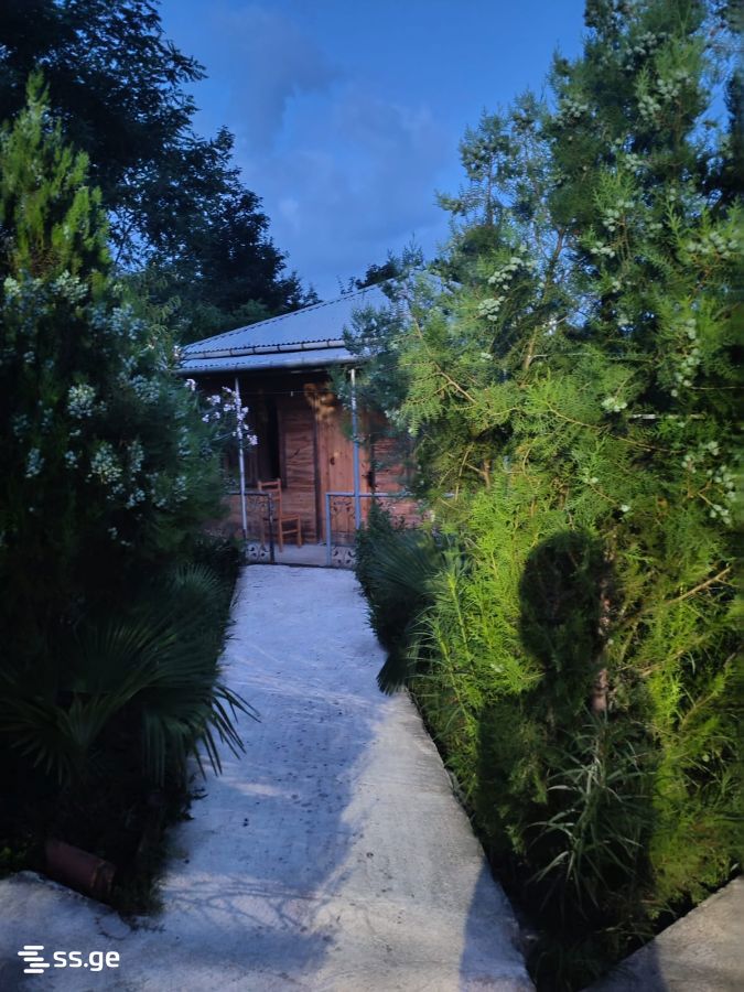 6 Room Private House Daily Rent. Tskaltubo view 8