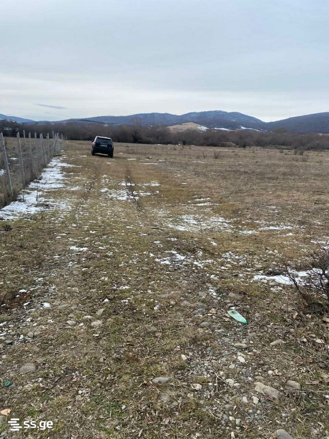 Продажа Земля / участок в Tianetis Munitsipalitetshi view 13
