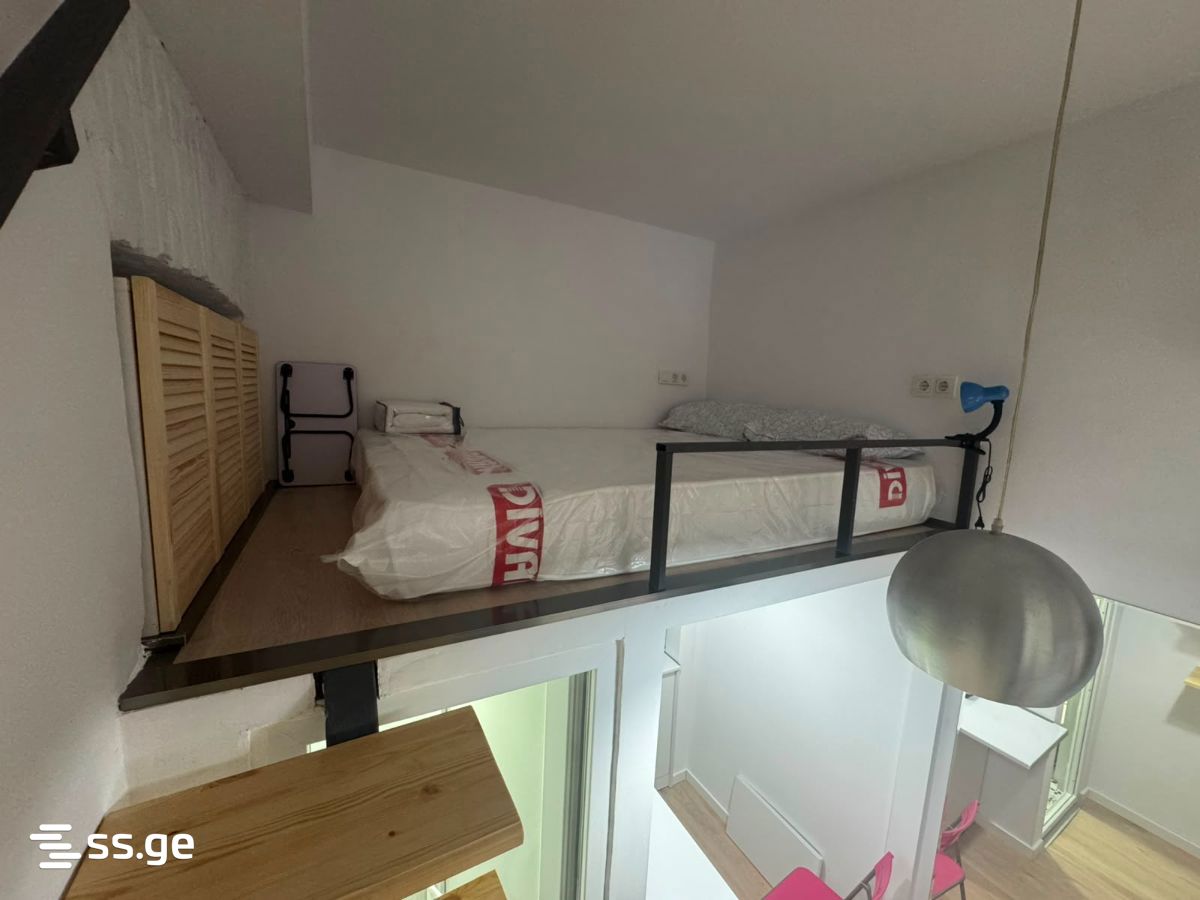 1 Room Flat For Rent. Chugureti view 7