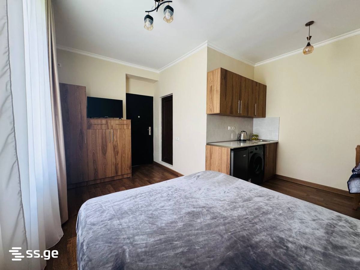 1 Room Flat Daily Rent. Borjomi view 6