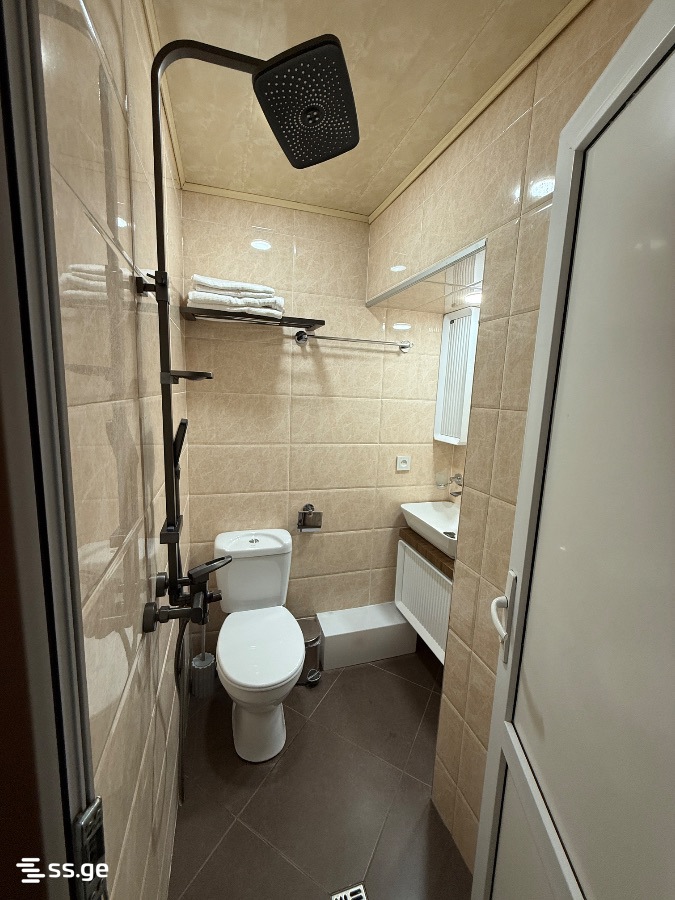 2 room Flat Daily rent. Vedzisi - Vista 6