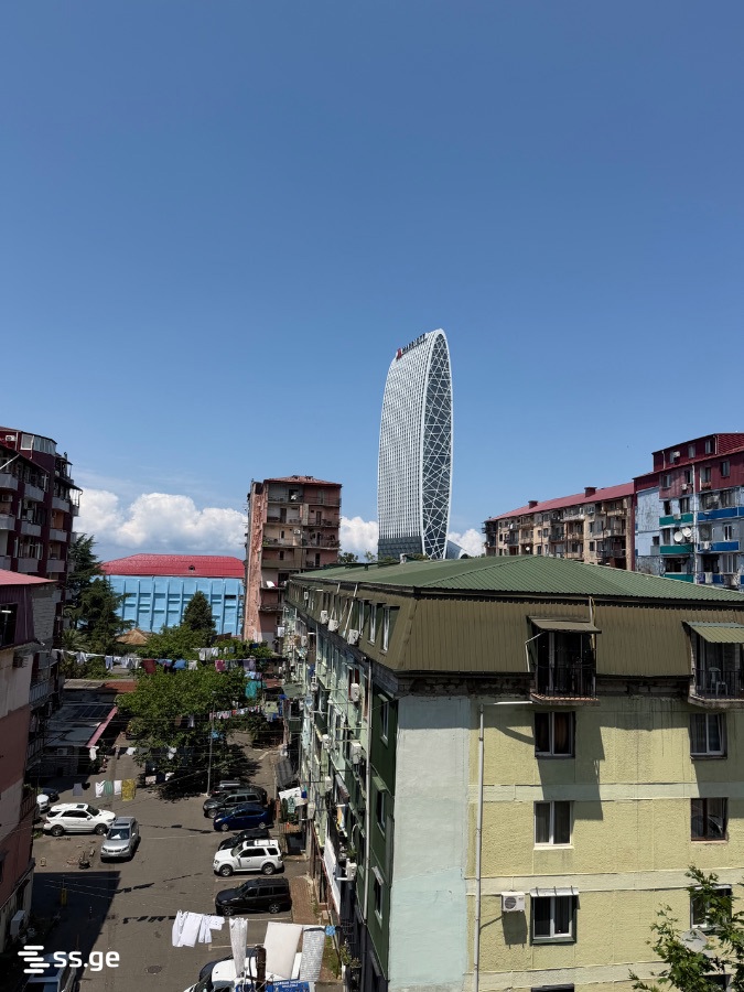 1 Room Flat Daily Rent. Batumi view 11