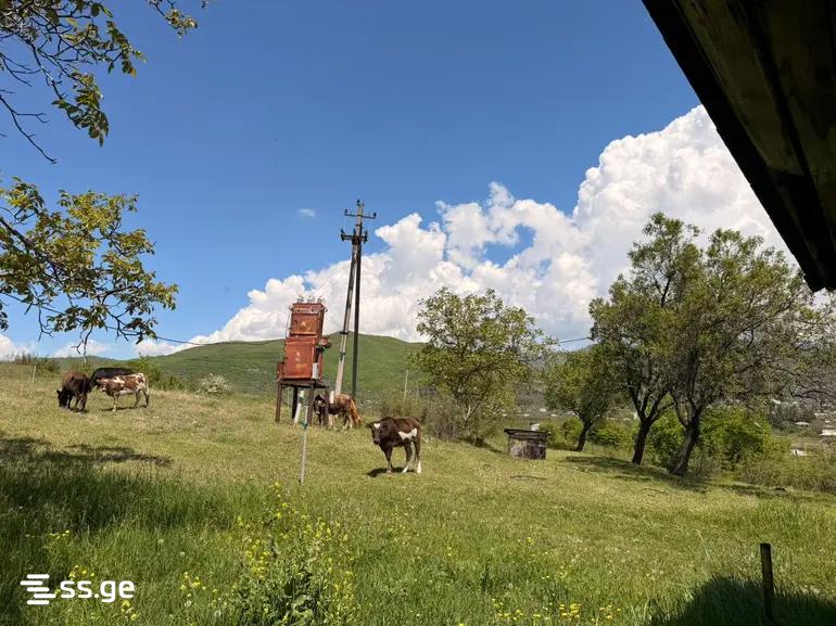 Land For Sale. Saburtalo view 5