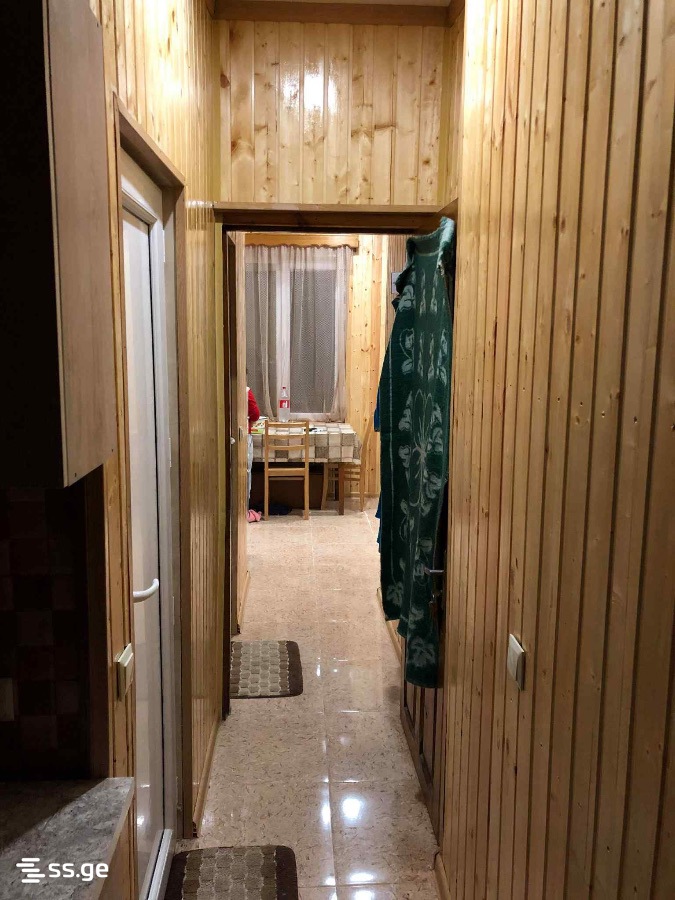 2 Room Flat Daily Rent. Borjomi view 4