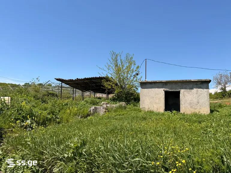 Land For Sale. Saburtalo view 11