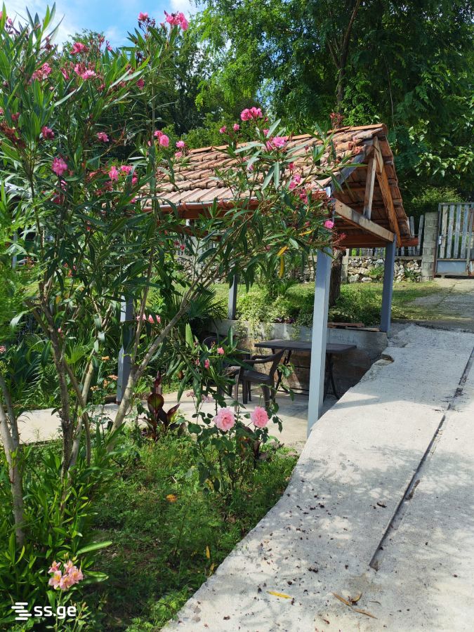 6 Room Private House Daily Rent. Tskaltubo view 3